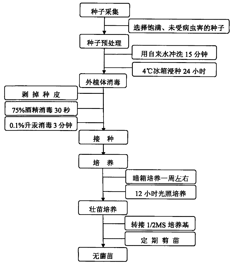 AG真人平台网址